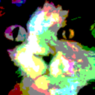 c币钱包下载链接截图预览